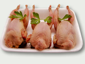 Codornices 