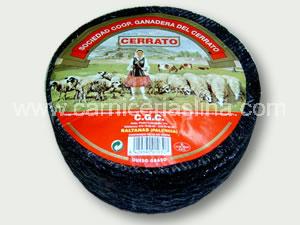 CERRATO 